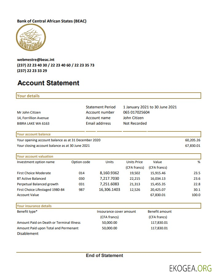 République centrafricaine Banque des États de l'Afrique centrale Relevé bancaire BEAC modèle facile à remplir au format de fichier .xls et .pdf (AutoSum)